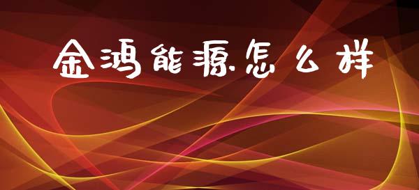 金鸿能源怎么样_https://m.qdlswl.com_恒指在线直播间_第1张