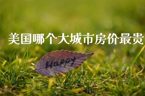 美国哪个大城市房价最贵_https://m.qdlswl.com_恒指德指直播室_第1张