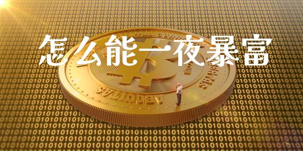 怎么能一夜暴富_https://m.qdlswl.com_恒生指数直播喊单_第1张
