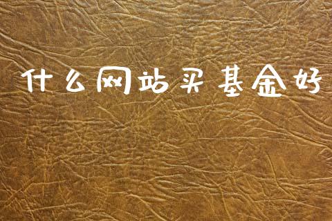 什么网站买基金好_https://m.qdlswl.com_纳指直播_第1张