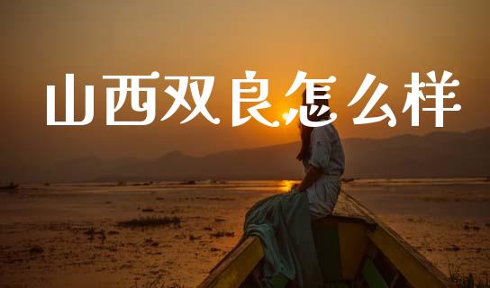 山西双良怎么样_https://m.qdlswl.com_恒指在线直播间_第1张
