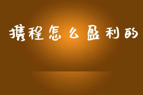 携程怎么盈利的_https://m.qdlswl.com_恒指德指直播室_第1张