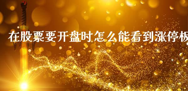 在股票要开盘时怎么能看到涨停板_https://m.qdlswl.com_恒指在线直播间_第1张