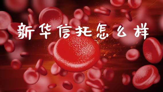 新华信托怎么样_https://m.qdlswl.com_纳指直播_第1张