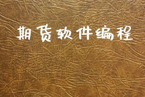 期货软件编程_https://m.qdlswl.com_恒指德指直播室_第1张