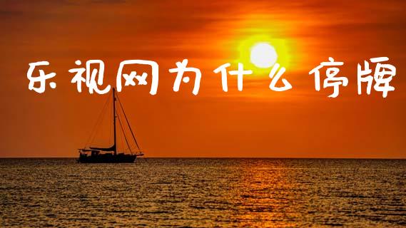 乐视网为什么停牌_https://m.qdlswl.com_恒指德指直播室_第1张