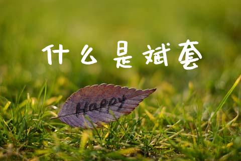 什么是斌套_https://m.qdlswl.com_恒生指数直播喊单_第1张