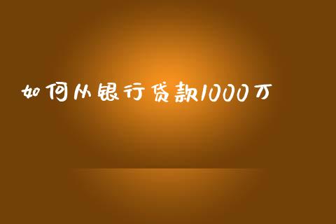 如何从银行贷款1000万_https://m.qdlswl.com_恒指德指直播室_第1张