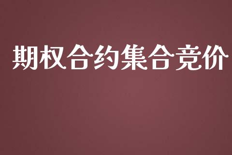 期权合约集合竞价_https://m.qdlswl.com_恒生指数直播喊单_第1张