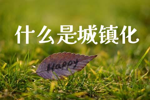 什么是城镇化_https://m.qdlswl.com_恒生指数直播喊单_第1张