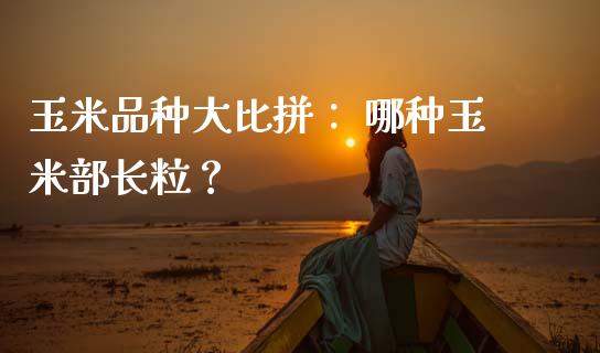 玉米品种大比拼： 哪种玉米部长粒？_https://m.qdlswl.com_恒生指数直播喊单_第1张