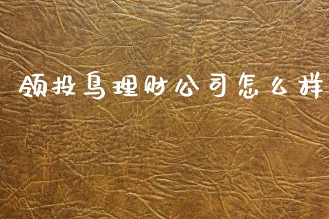 领投鸟理财公司怎么样_https://m.qdlswl.com_恒指在线直播间_第1张