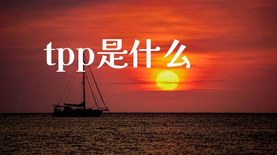 tpp是什么_https://m.qdlswl.com_恒生指数直播喊单_第1张