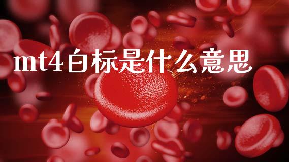 mt4白标是什么意思_https://m.qdlswl.com_恒生指数直播喊单_第1张