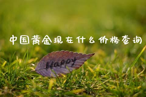 中国黄金现在什么价格查询_https://m.qdlswl.com_纳指直播_第1张