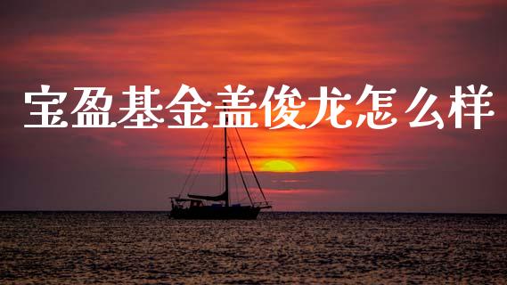 宝盈基金盖俊龙怎么样_https://m.qdlswl.com_恒指德指直播室_第1张