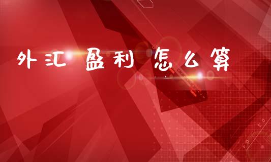 外汇 盈利 怎么算_https://m.qdlswl.com_恒生指数直播喊单_第1张