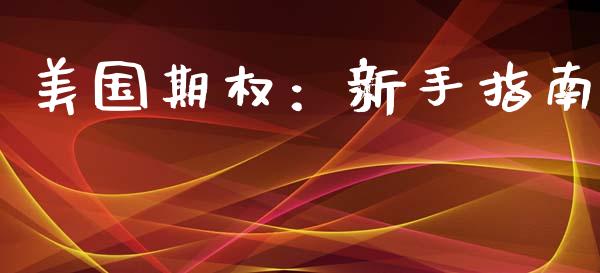 美国期权：新手指南_https://m.qdlswl.com_恒指在线直播间_第1张