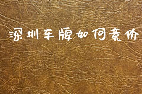 深圳车牌如何竟价_https://m.qdlswl.com_恒生指数直播喊单_第1张