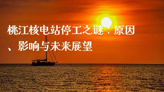 桃江核电站停工之谜：原因、影响与未来展望_https://m.qdlswl.com_恒生指数直播喊单_第1张