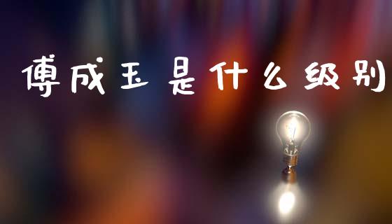 傅成玉是什么级别_https://m.qdlswl.com_恒指德指直播室_第1张