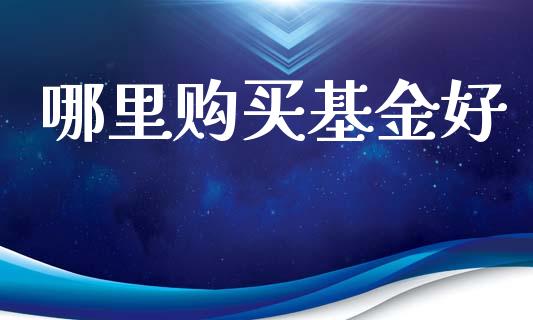 哪里购买基金好_https://m.qdlswl.com_纳指直播_第1张