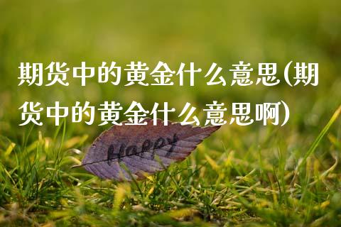 期货中的黄金什么意思(期货中的黄金什么意思啊)_https://m.qdlswl.com_恒指德指直播室_第1张