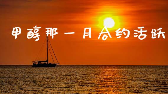 甲醇那一月合约活跃_https://m.qdlswl.com_恒生指数直播喊单_第1张
