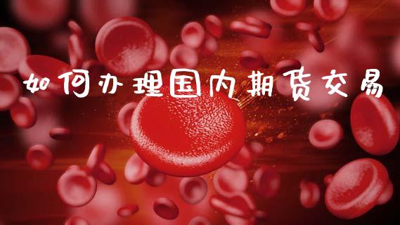 如何办理国内期货交易_https://m.qdlswl.com_纳指直播_第1张