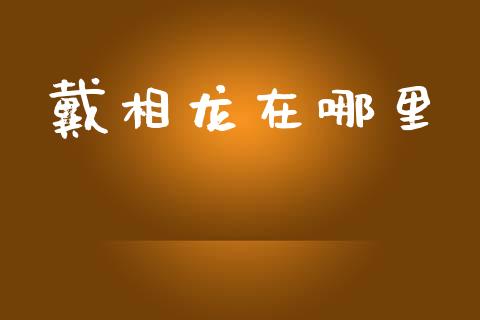 戴相龙在哪里_https://m.qdlswl.com_恒指在线直播间_第1张