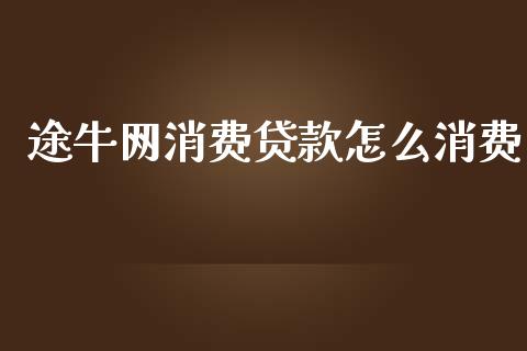 途牛网消费贷款怎么消费_https://m.qdlswl.com_恒指德指直播室_第1张