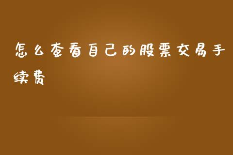 怎么查看自己的股票交易手续费_https://m.qdlswl.com_恒指在线直播间_第1张
