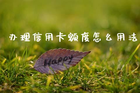 办理信用卡额度怎么用法_https://m.qdlswl.com_恒生指数直播喊单_第1张
