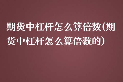 期货中杠杆怎么算倍数(期货中杠杆怎么算倍数的)_https://m.qdlswl.com_纳指直播_第1张