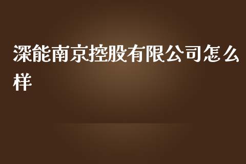 深能南京控股有限公司怎么样_https://m.qdlswl.com_恒生指数直播喊单_第1张