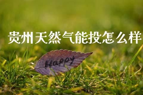 贵州天然气能投怎么样_https://m.qdlswl.com_恒指在线直播间_第1张