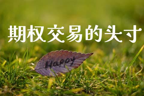 期权交易的头寸_https://m.qdlswl.com_纳指直播_第1张