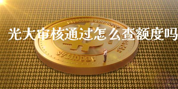 光大审核通过怎么查额度吗_https://m.qdlswl.com_恒生指数直播喊单_第1张