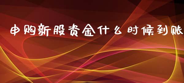 申购新股资金什么时候到账_https://m.qdlswl.com_恒生指数直播喊单_第1张
