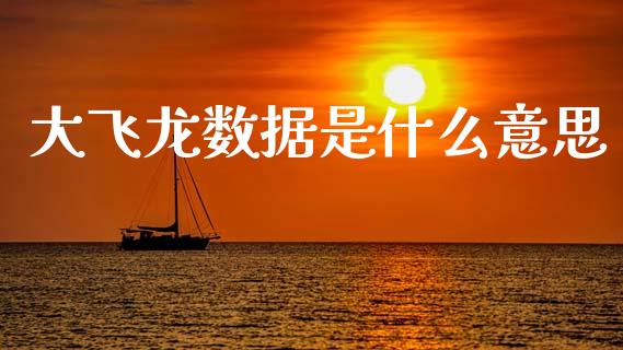 大飞龙数据是什么意思_https://m.qdlswl.com_恒指德指直播室_第1张