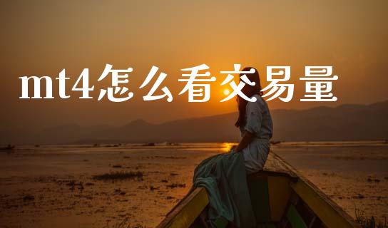 mt4怎么看交易量_https://m.qdlswl.com_恒生指数直播喊单_第1张