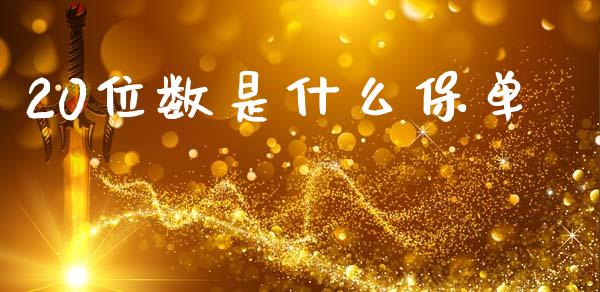 20位数是什么保单_https://m.qdlswl.com_恒指德指直播室_第1张