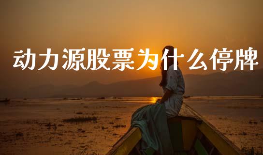 动力源股票为什么停牌_https://m.qdlswl.com_纳指直播_第1张