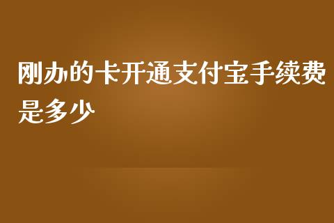 刚办的卡开通支付宝手续费是多少_https://m.qdlswl.com_恒生指数直播喊单_第1张