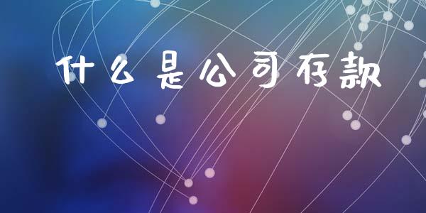 什么是公司存款_https://m.qdlswl.com_恒生指数直播喊单_第1张