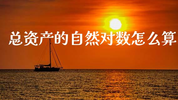 总资产的自然对数怎么算_https://m.qdlswl.com_恒生指数直播喊单_第1张