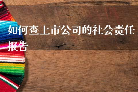 如何查上市公司的社会责任报告_https://m.qdlswl.com_恒生指数直播喊单_第1张