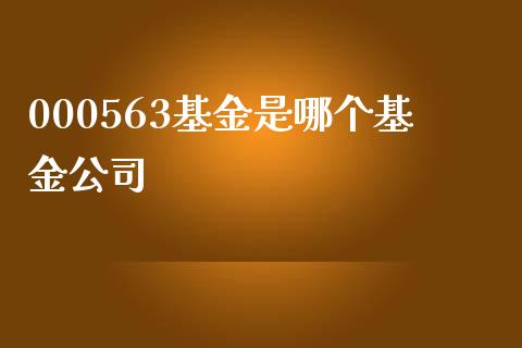 000563基金是哪个基金公司_https://m.qdlswl.com_恒指德指直播室_第1张