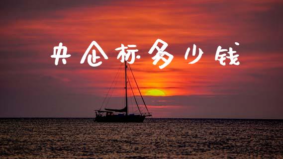 央企标多少钱_https://m.qdlswl.com_恒指德指直播室_第1张