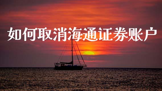 如何取消海通证券账户_https://m.qdlswl.com_恒生指数直播喊单_第1张